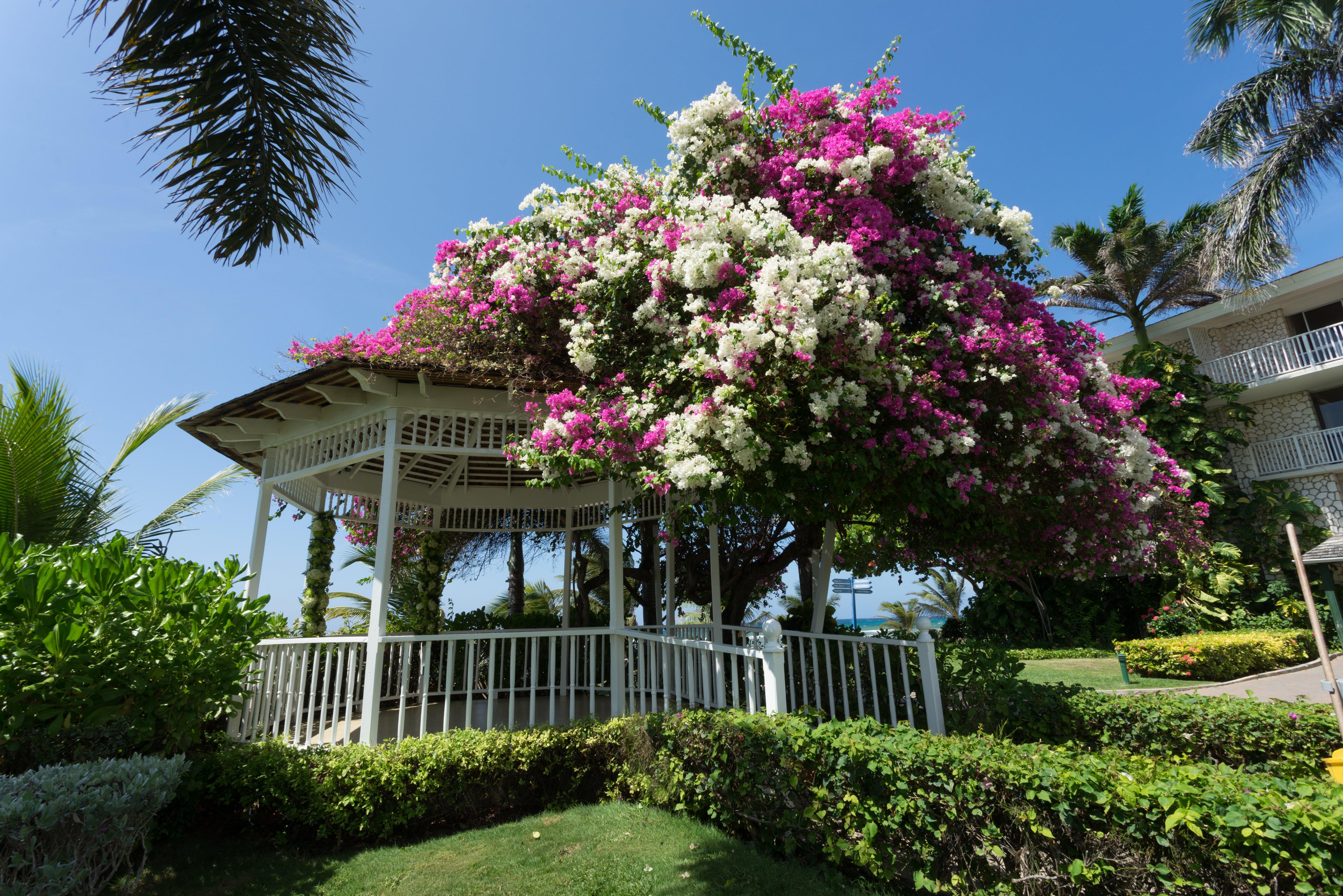 Catalonia Montego Bay Hotel Exterior photo